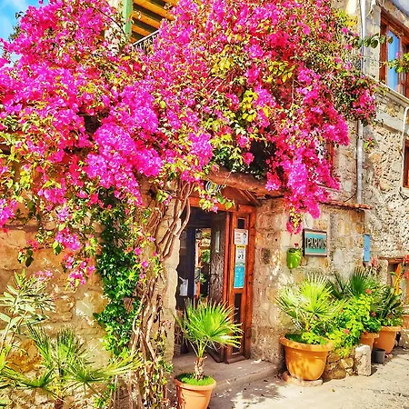 Parmis Boutique House Guest house