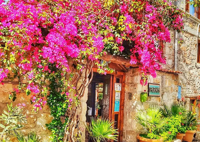 Parmis Boutique House Casa de hóspedes